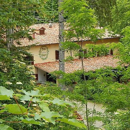Agriturismo Fonte Magria 阿巴迪亚·圣萨尔瓦多 外观 照片