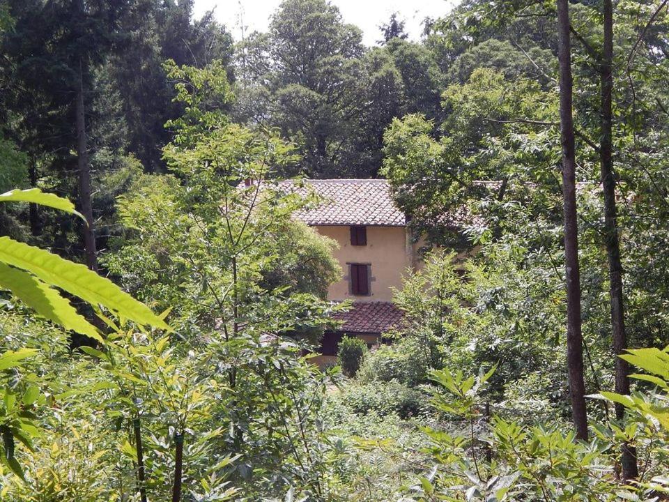 Agriturismo Fonte Magria 阿巴迪亚·圣萨尔瓦多 外观 照片