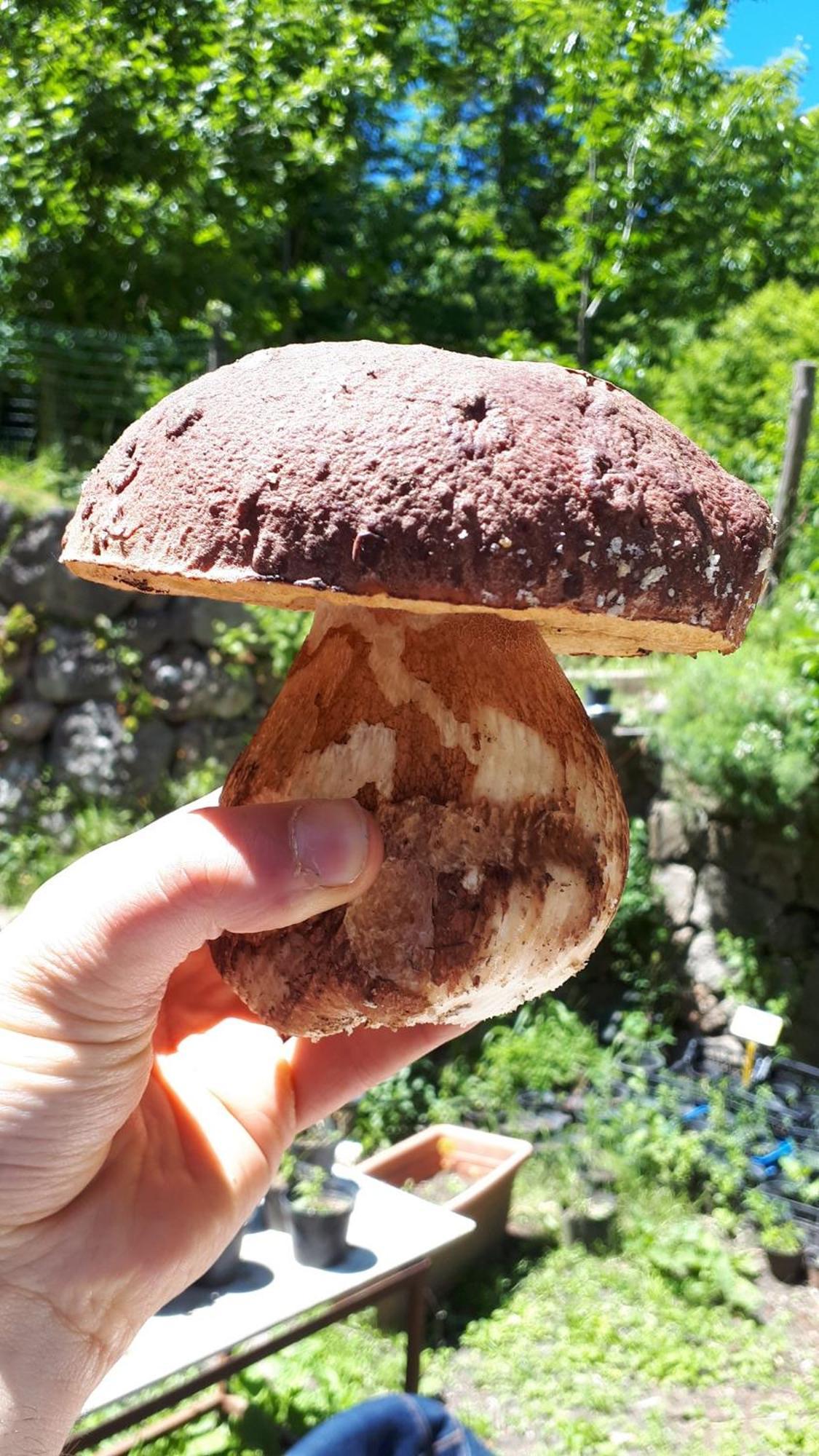 Agriturismo Fonte Magria 阿巴迪亚·圣萨尔瓦多 外观 照片